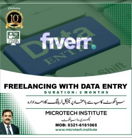 freelancing with data entry course diploma trianing coaching practical in sialkot prof mirza shaban zafar microtech institute