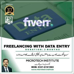 freelancing with data entry course diploma trianing coaching practical in sialkot prof mirza shaban zafar microtech institute