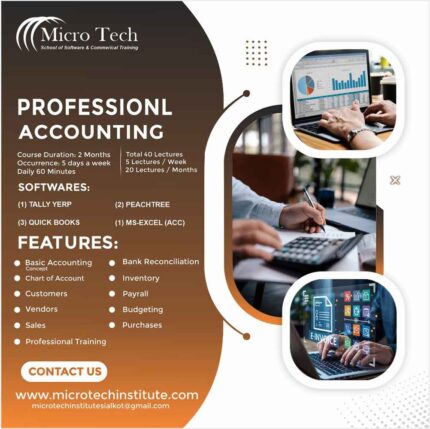 Professional Computerized Accounting Course