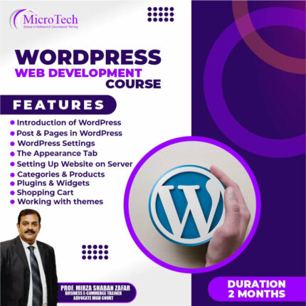 Wordpress-web-development-course-microtech-institute-sialkot.jpg